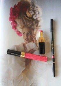 style of sam, chanel le rouge lips