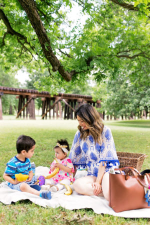 mother's day picnic trinity park fort worth, fossil rachel tote