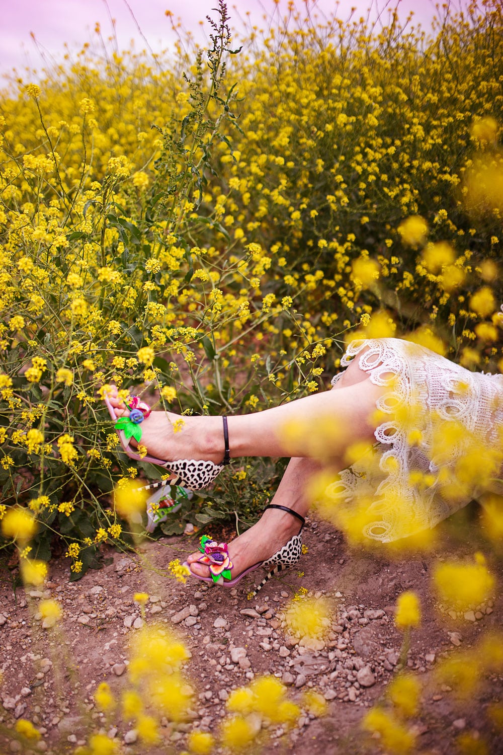 style of sam in sophia webster flower heels in yellow wildflower field fort worth tx